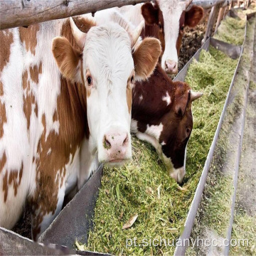 Criação de animais Vitamina K3 MSB